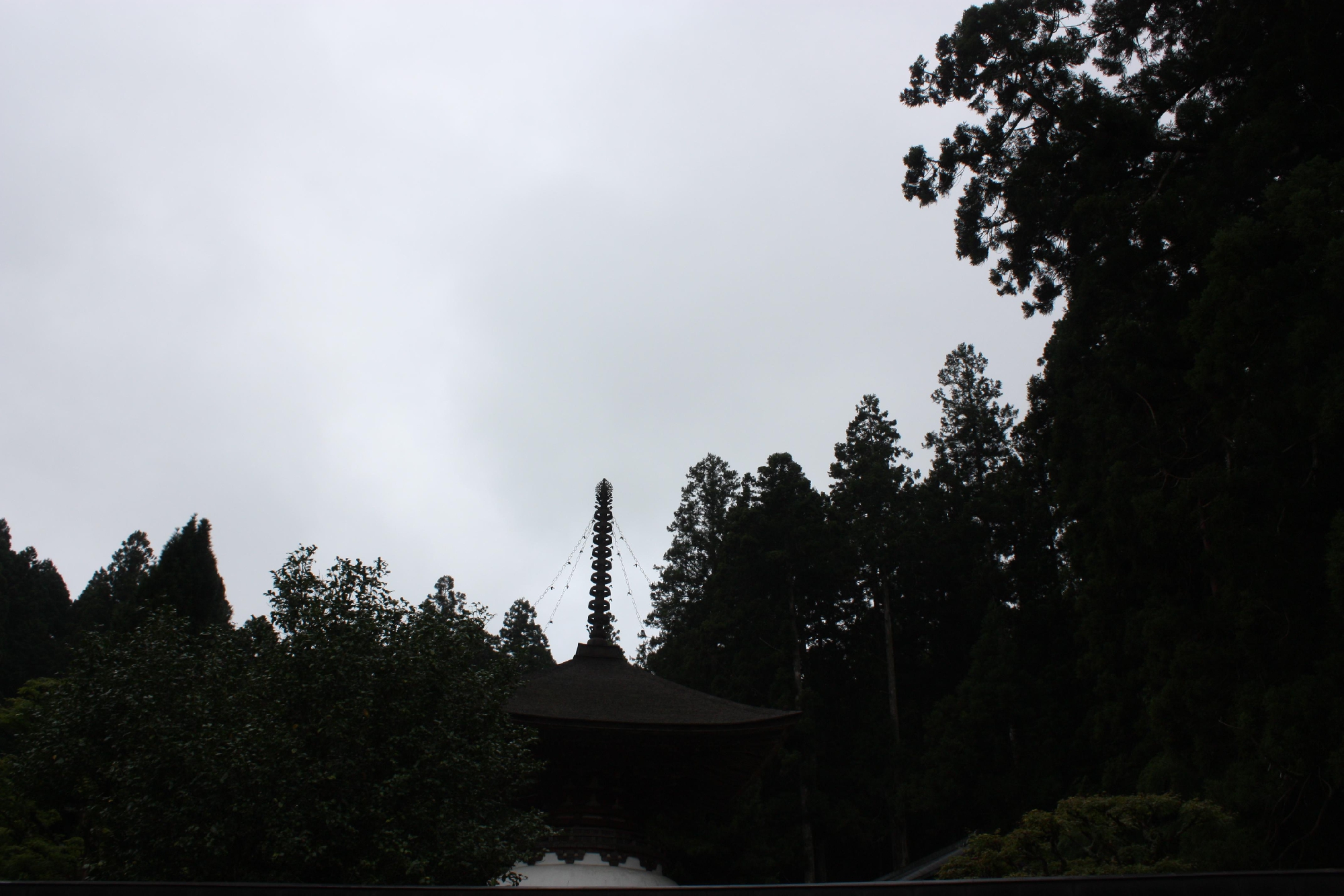 高野山の奥の院へ。